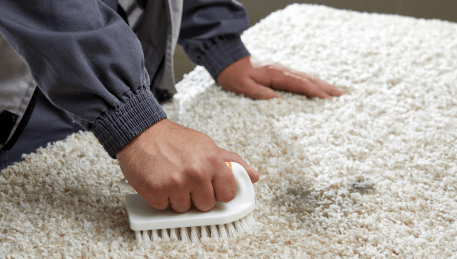 Professional Rug Cleaning Kurunjang